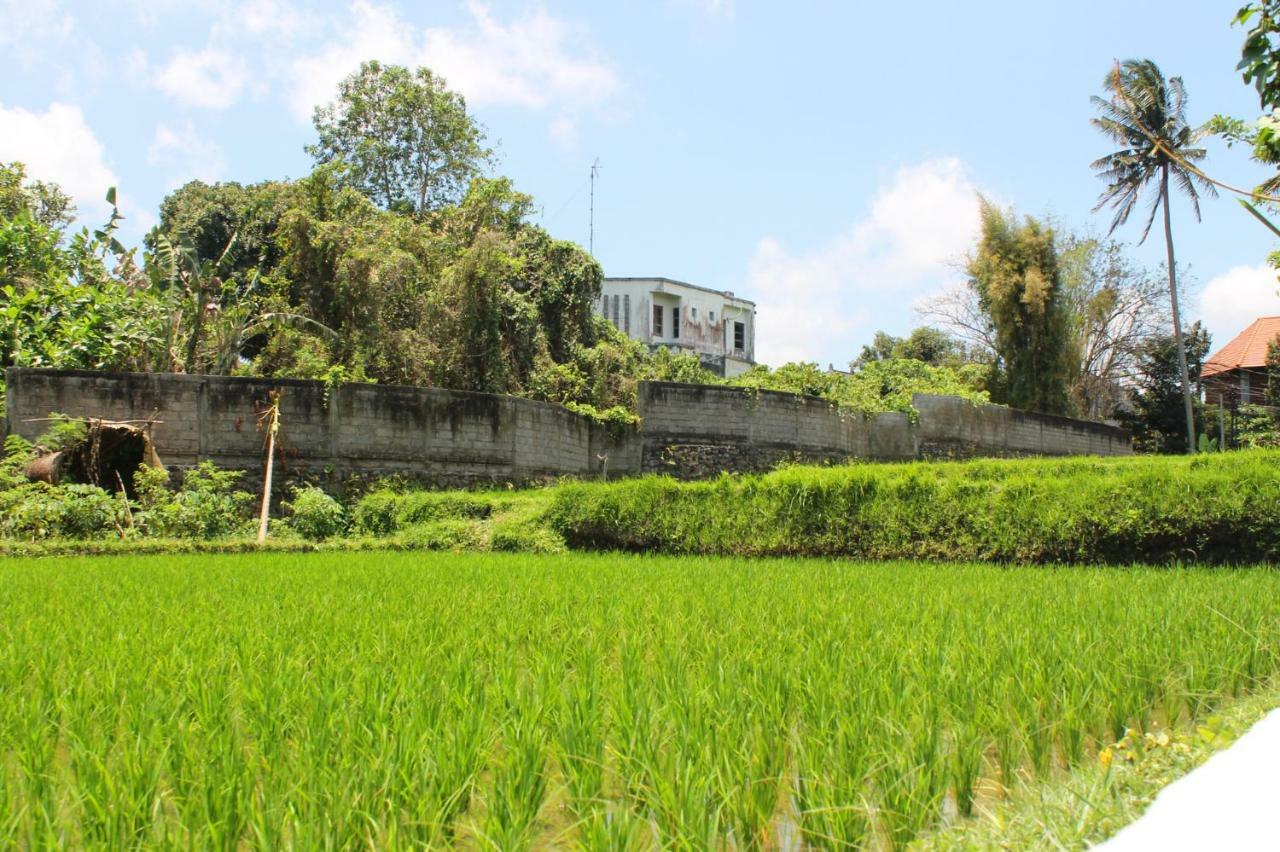 White Creative Villa Campuhan Ubud  Ngoại thất bức ảnh